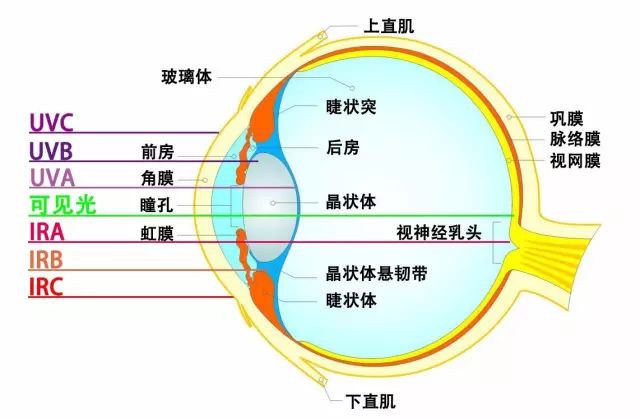 激光光生物安全和光生物安全介绍(图1) 激光光生物安全和光生物安全介绍(图1)