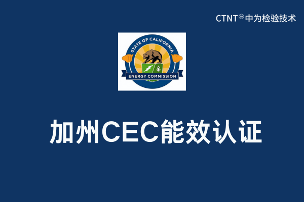 CECʲô˼(ͼ1)