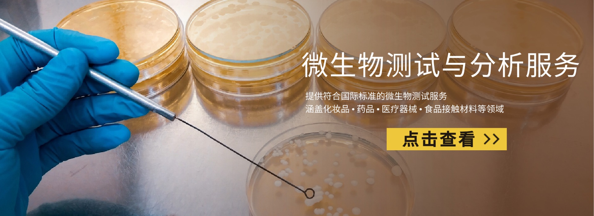 微生物测试与分析服务(图1) 微生物限度检测(图1)